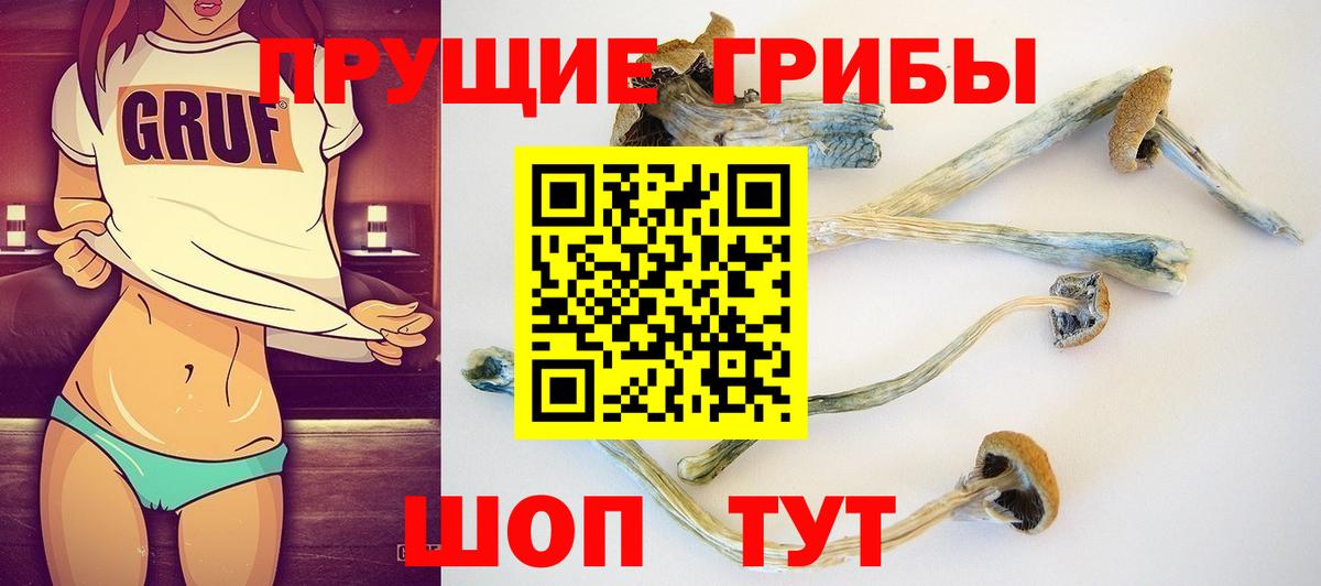 Псилоцибиновые грибы Cubensis  Галлюциногенные грибы MAGIC MUSHROOMS  Туапсе  Вход с VPN 