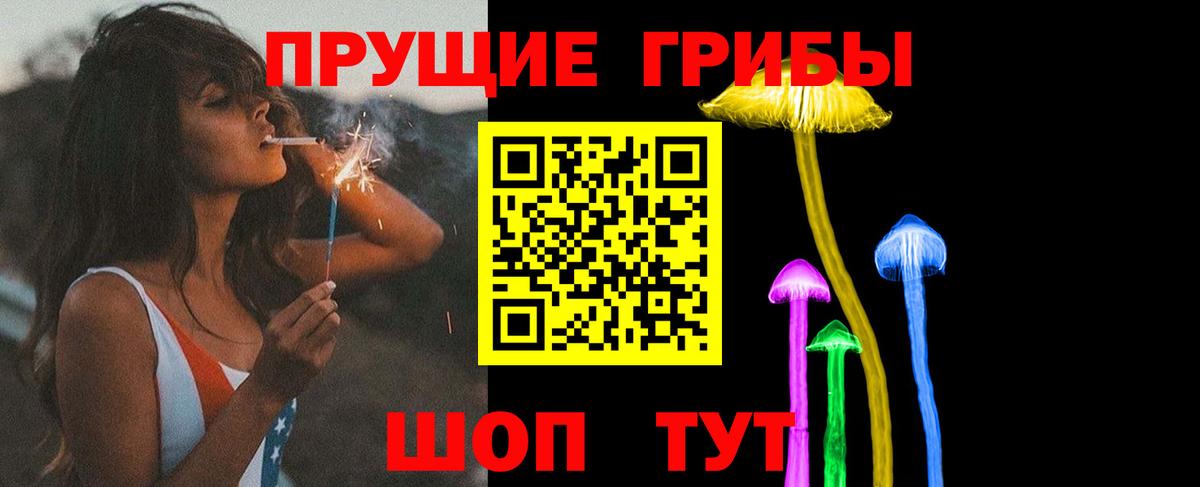 Псилоцибиновые грибы прущие грибы Туапсе